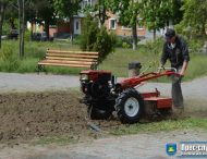 Нове комунальне підприємство відповідає за благоустрій парків та скверів