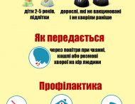 В УКРАИНЕ С НАЧАЛА ГОДА ОТ ОСЛОЖНЕНИЙ КОРИ УМЕРЛИ 16 ЧЕЛОВЕК