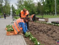 У Покрові саджають квіти