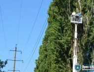 Обрізка дерев в охоронній зоні уздовж повітряних ліній електропередачі