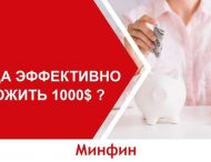 Куда эффективно вложить 1000 долларов (видео)