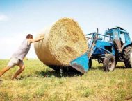 Эксперты посчитали, сколько земли в частной собственности украинцев