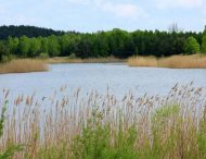 На Дніпропетровщині водойму «перетворили» в поле