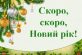 Нікопольців запрошують долучитися до організації Нового року!