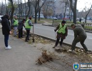 В Нікополі висаджують нові дерева