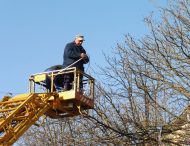 Центральну алею Покрова прикрашають святковою ілюмінацією