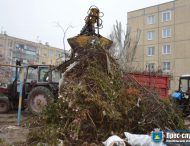 Боротьба зі стихійними звалищами на території міста