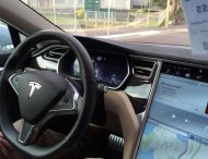 Автопилот Tesla перепутал ребенка с дорожным конусом