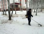 Веселые чудаки и чудачки, которые не знают слова «логика»