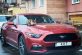 Соцсети насмешил кот, присвоивший себе Ford Mustang