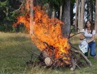 Штрафы за уничтожение леса увеличены