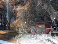 Непогода в Днепре: повалены деревья, обесточены дома