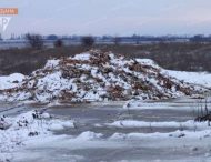 До весны: рядом с трассой Днепр-Кривой Рог заскладировали тонны дохлых кур (ФОТО, ВИДЕО)