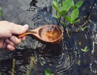 На Днепропетровщине появился колодец с целебной водой (Фото)