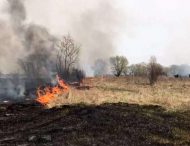 На Дніпропетровщині спалахують масштабні пожежі (Фото)