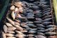 Лящі, карасі та сазани: на Дніпропетровщині активізувалися рибалки-браконьєри (Фото)