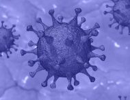 На Дніпропетровщині виявили 6 нових випадків коронавірусної інфекції