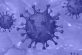 На Дніпропетровщині виявили 6 нових випадків коронавірусної інфекції