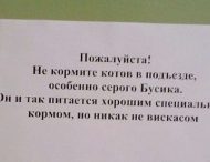 Многоэтажка — это отдельный мир: креативные объявления от жильцов таких домов